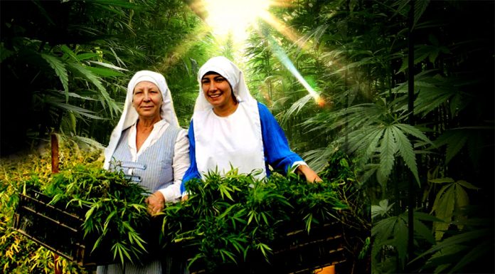 monjas de marijuana