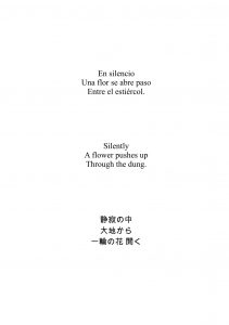 visual poetry gustavo vega