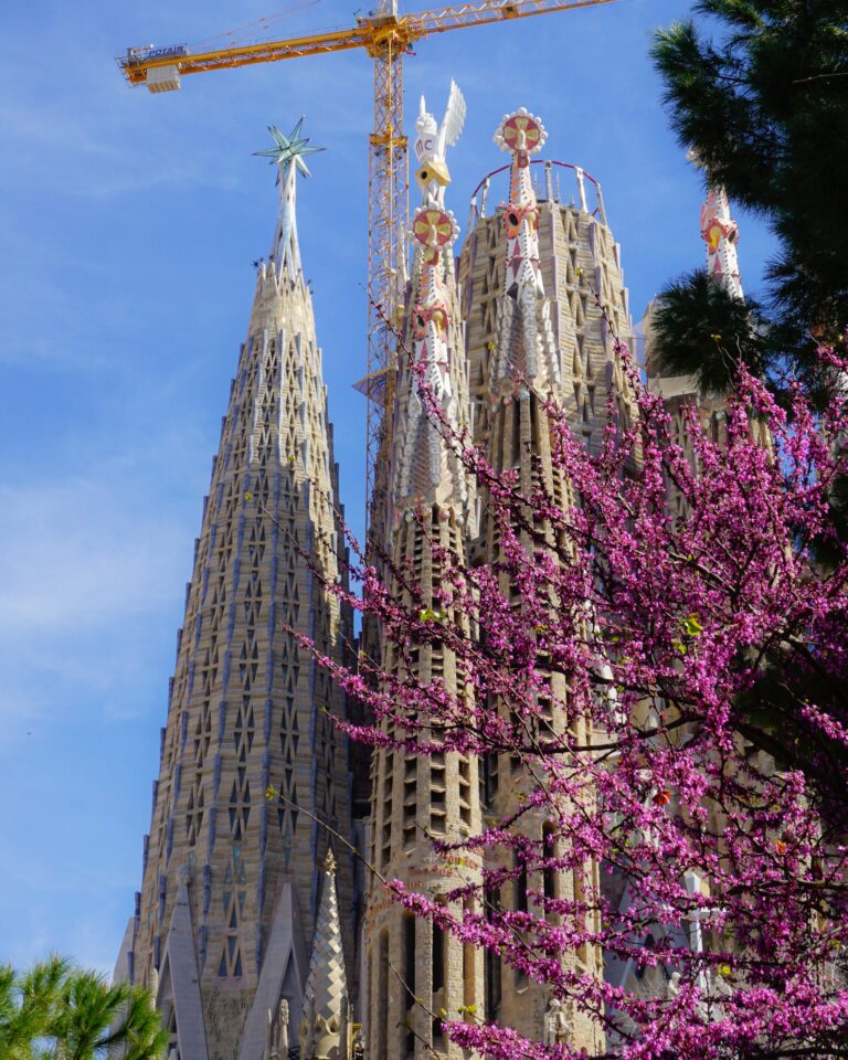 The Fantastic Sagrada Familia: A Masterpiece in the Making