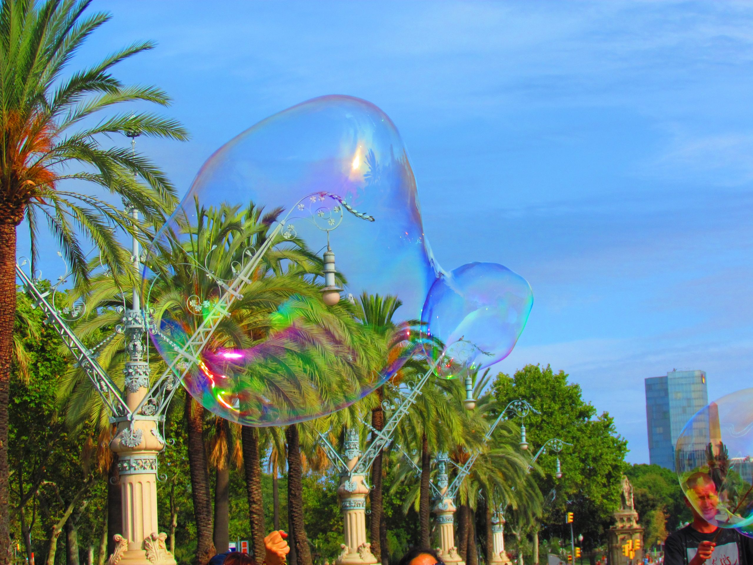 Soap bubbles and palm trees on Passeig de Lluis Companys near Arc de Triomf.