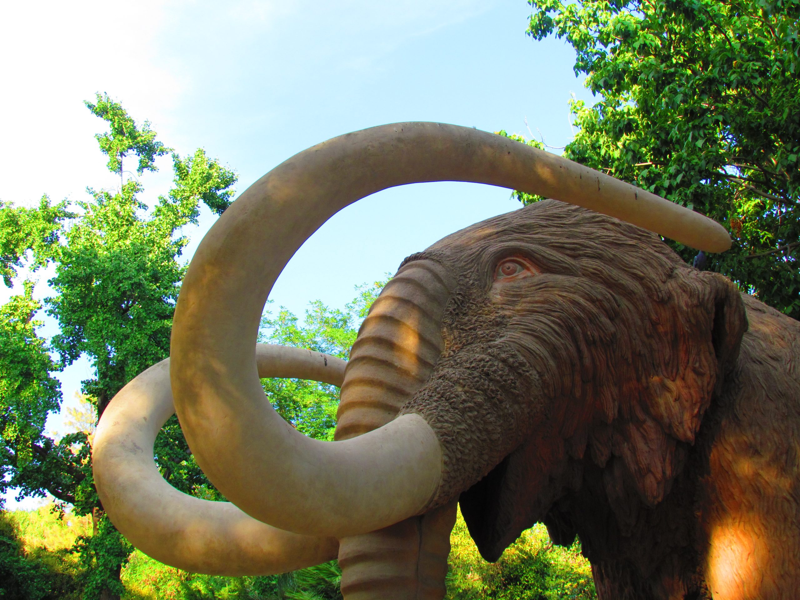 Close detail of the mammoth sculpture in Parc de la Ciutadella.