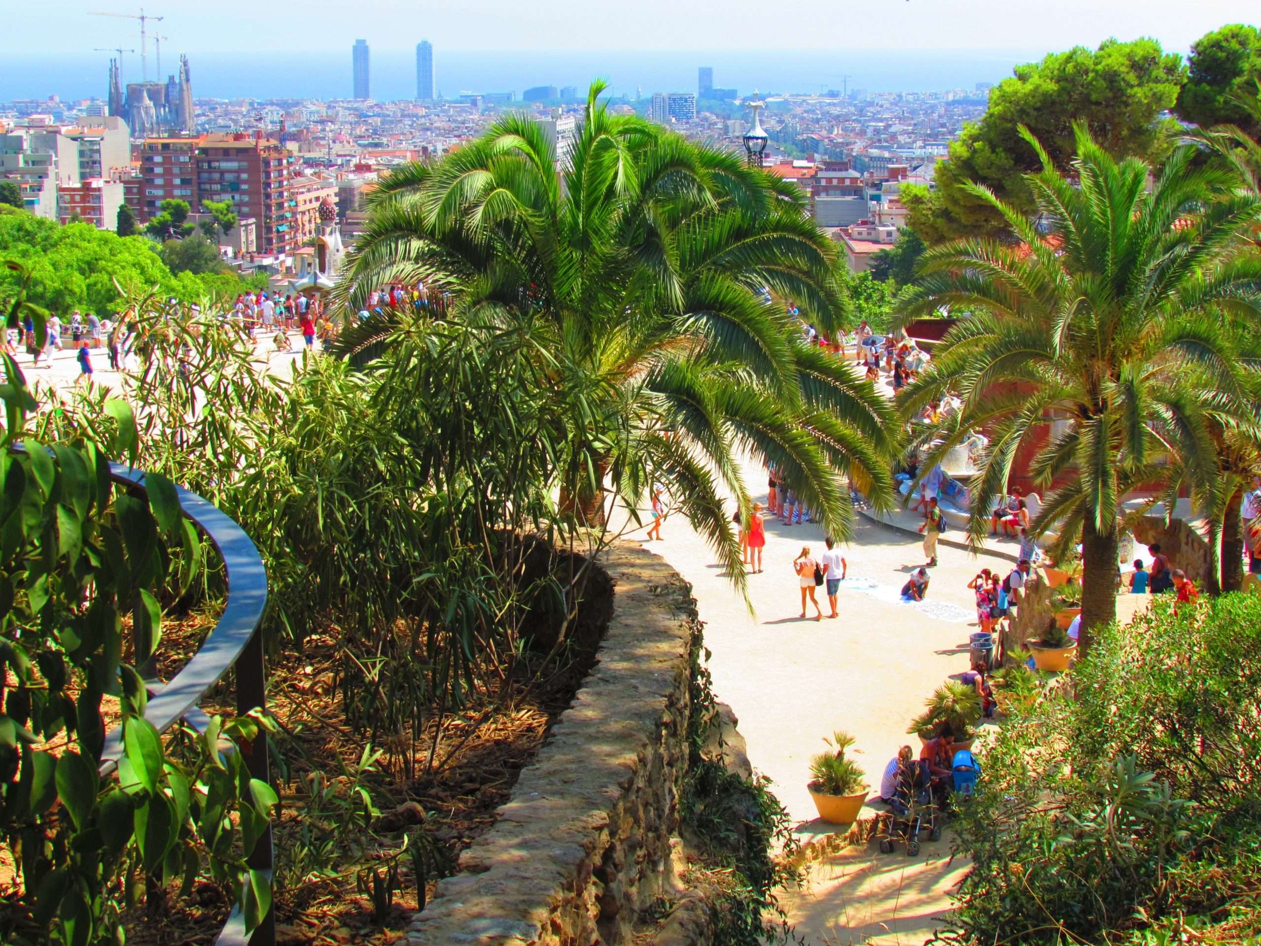 Pathways, palm trees and Barcelona views from Park Guell.
